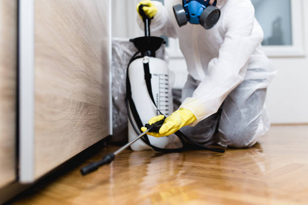 Trusted Dumbarton, VA Pest Control Experts