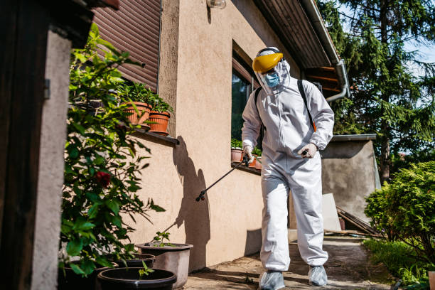 Best Mosquito Control Services  in Dumbarton, VA