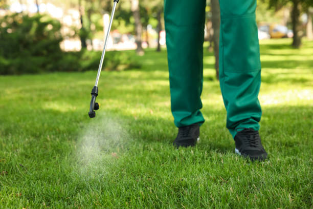 Best Affordable Pest Control Services  in Dumbarton, VA