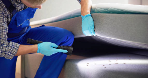 Best Best Pest Control Companies  in Dumbarton, VA